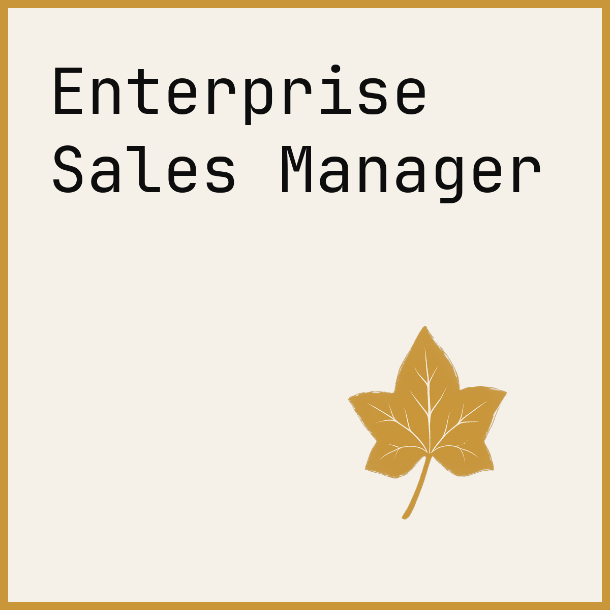 Enterprise Sales Manager