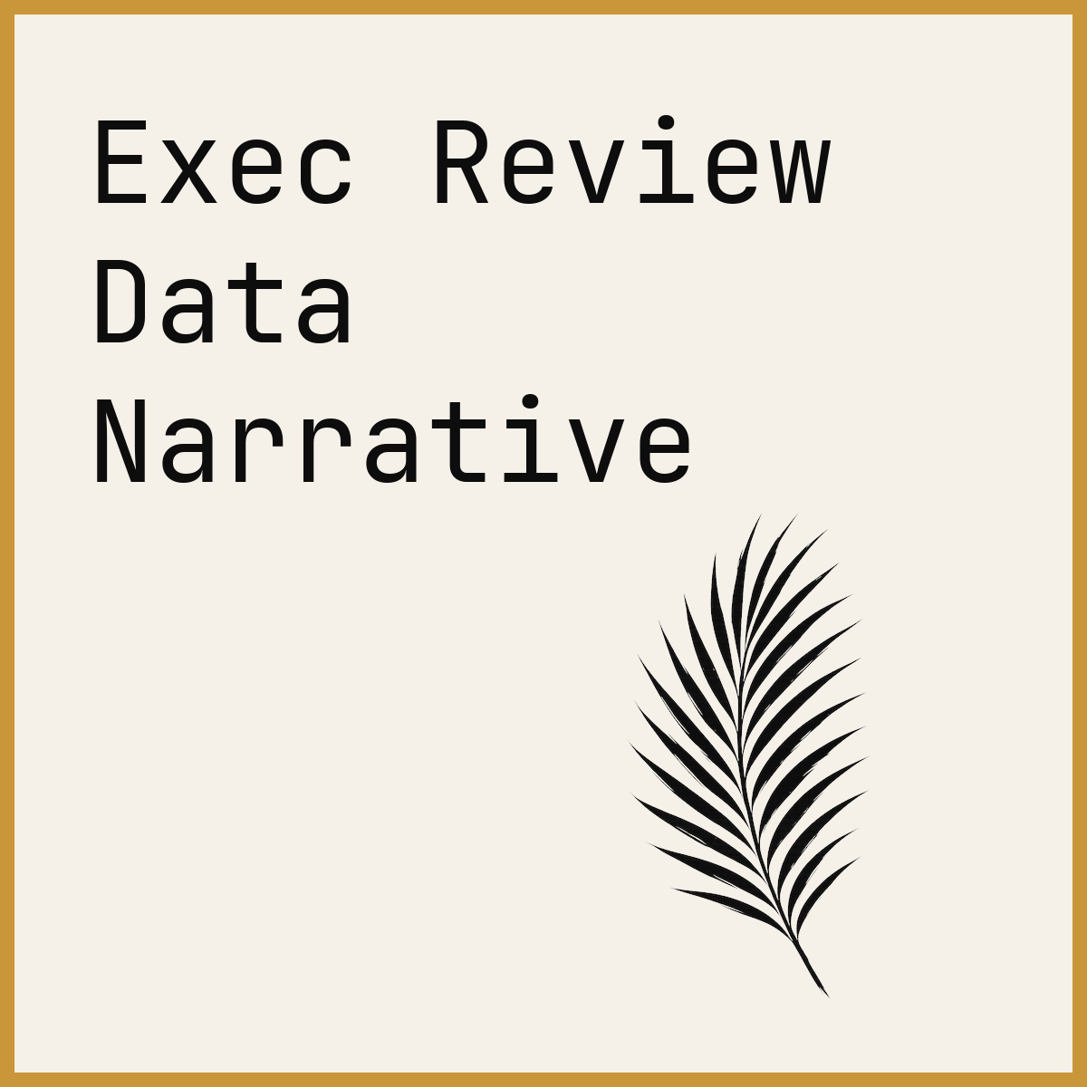 Exec Review Data Narrative