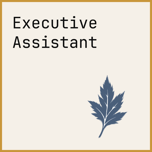Executive Assistant