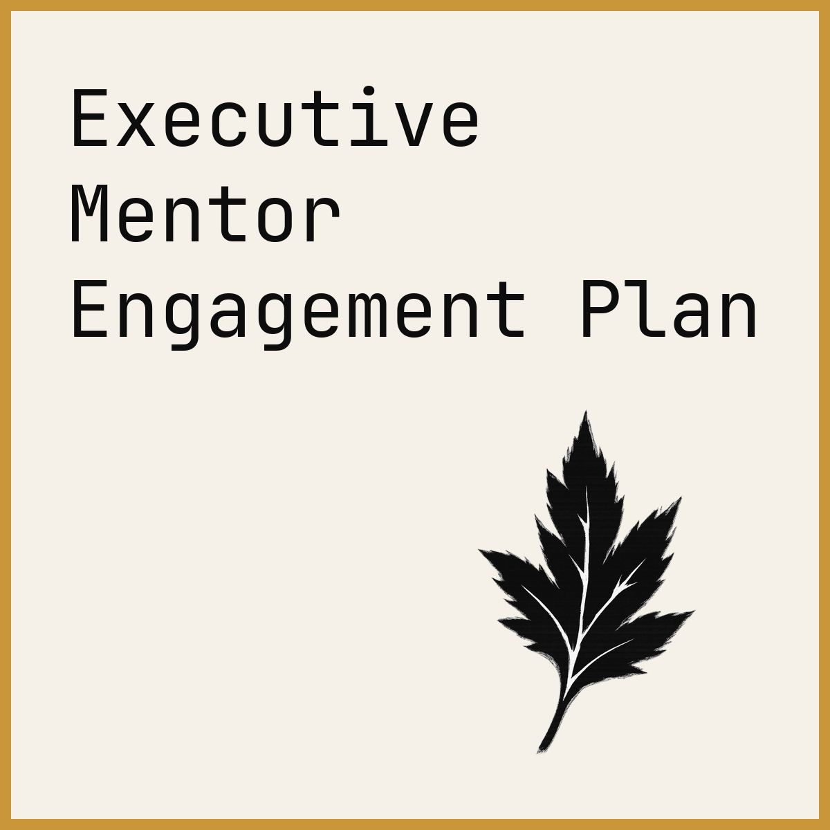 Executive Mentor Engagement Plan