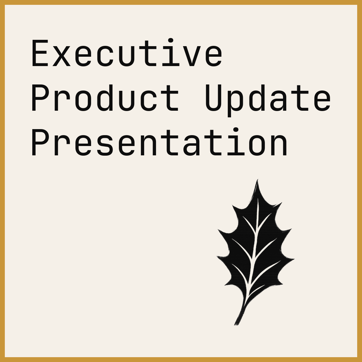 Executive Product Update Presentation