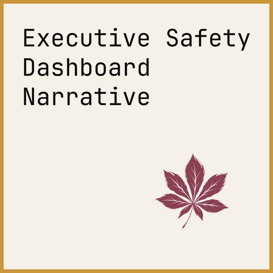 Executive Safety Dashboard Narrative