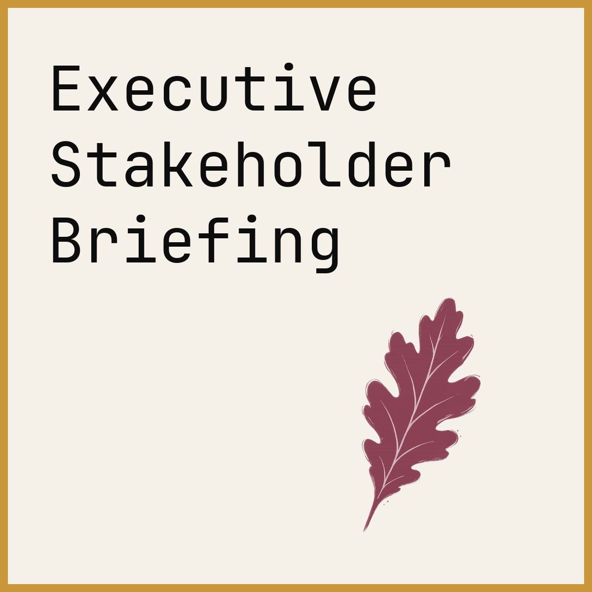 Executive Stakeholder Briefing