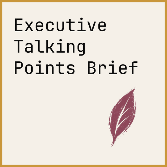 Executive Talking Points Brief