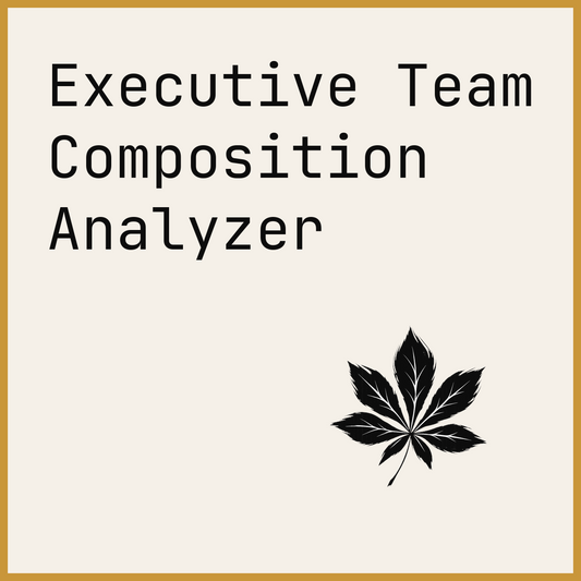 Executive Team Composition Analyzer
