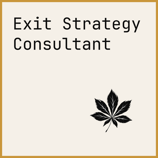 Exit Strategy Consultant