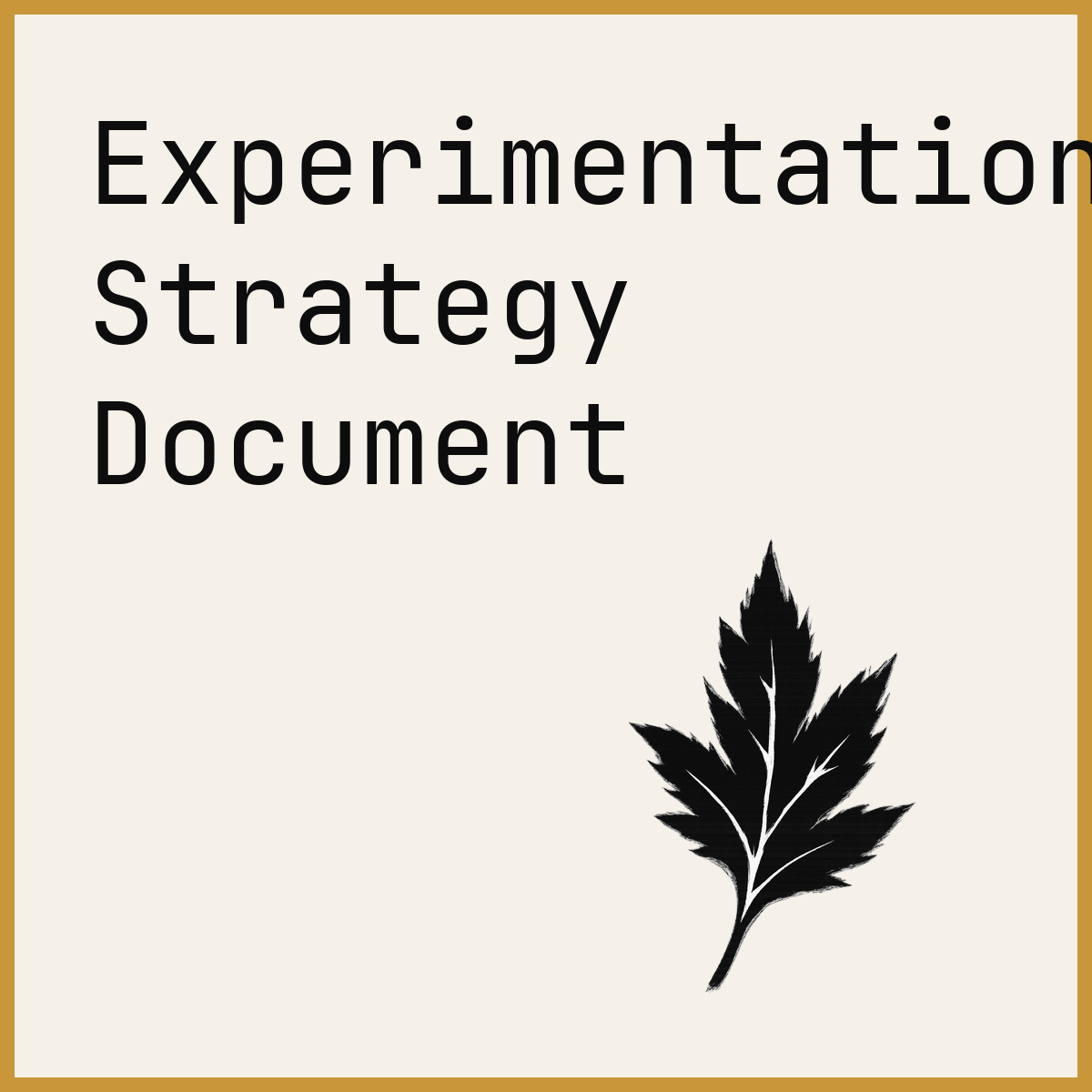 Experimentation Strategy Document