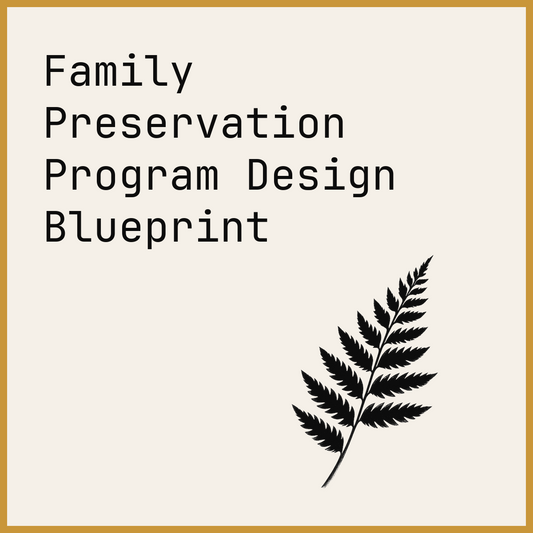 Family Preservation Program Design Blueprint
