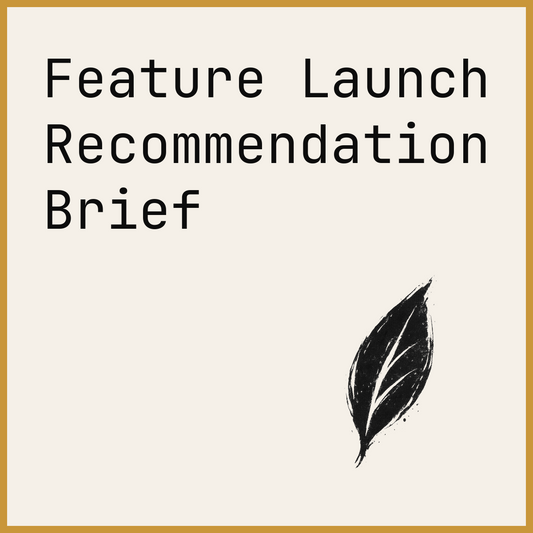 Feature Launch Recommendation Brief