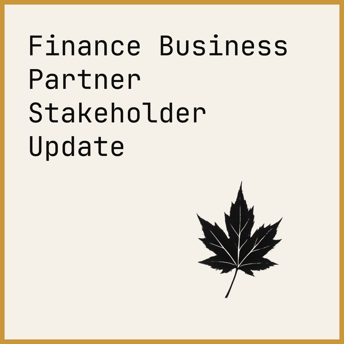 Finance Business Partner Stakeholder Update