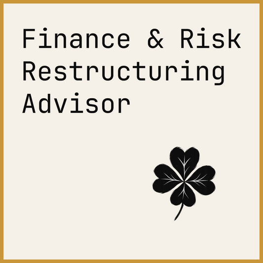 Finance & Risk Restructuring Advisor