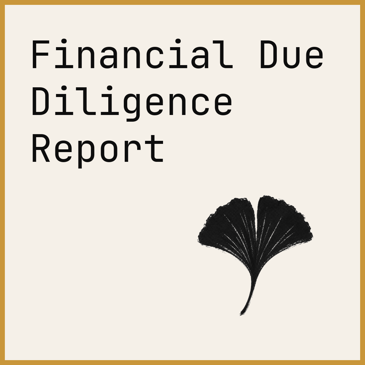 Financial Due Diligence Report