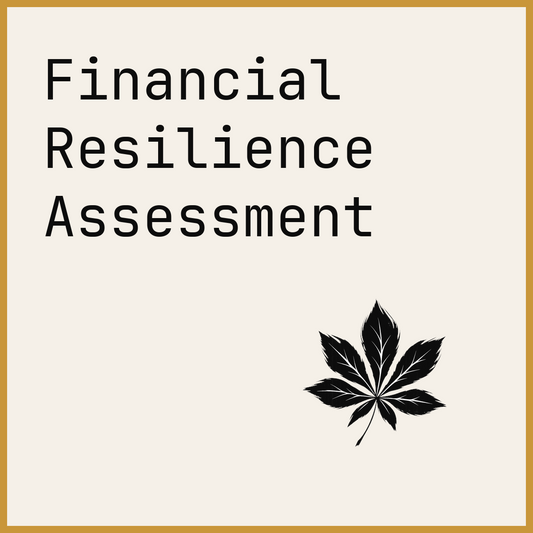 Financial Resilience Assessment