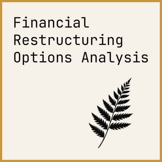 Financial Restructuring Options Analysis