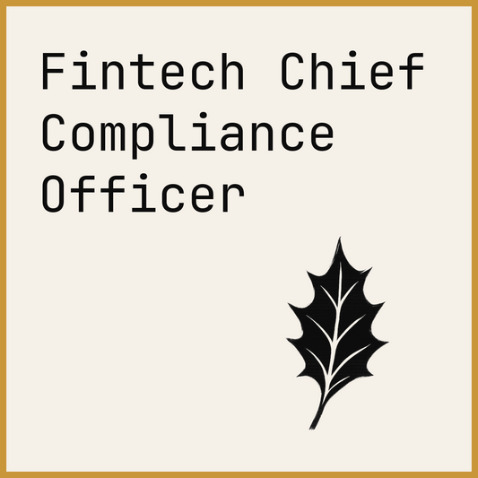 Fintech Chief Compliance Officer