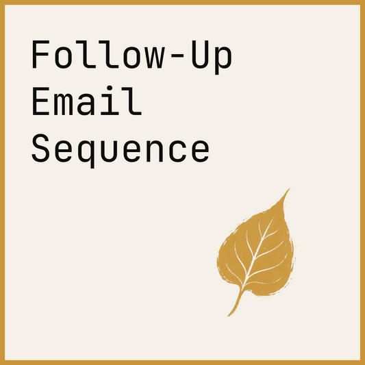 Follow-Up Email Sequence