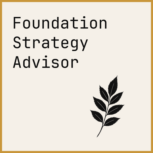 Foundation Strategy Advisor