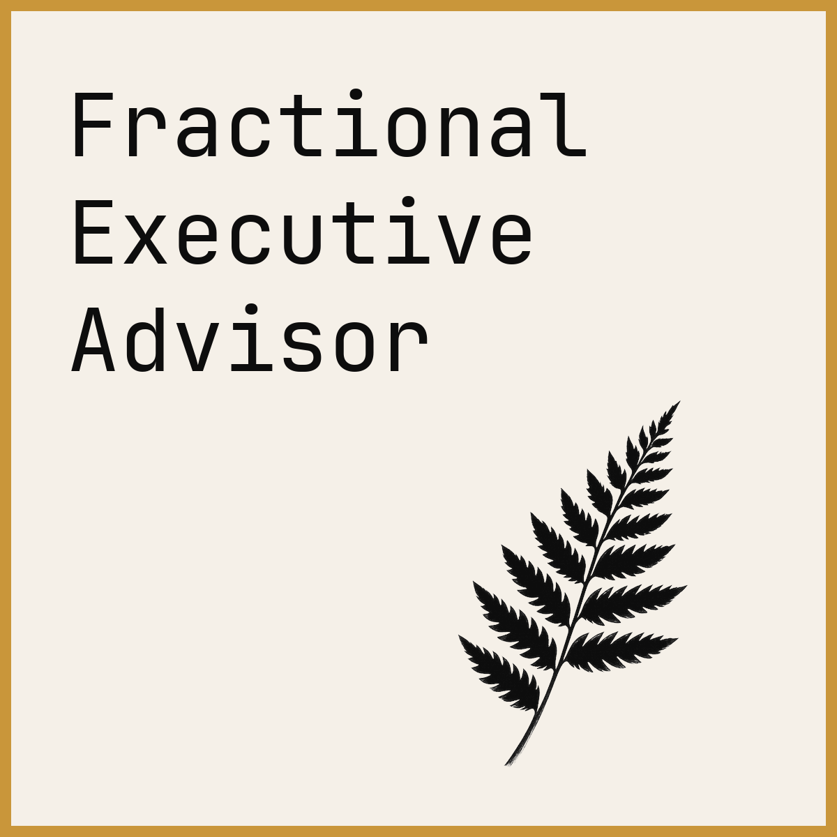 Fractional Executive Advisor