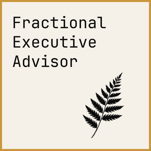 Fractional Executive Advisor