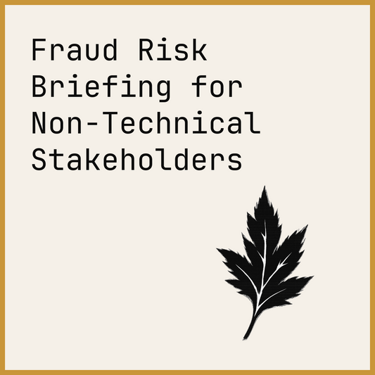 Fraud Risk Briefing for Non-Technical Stakeholders