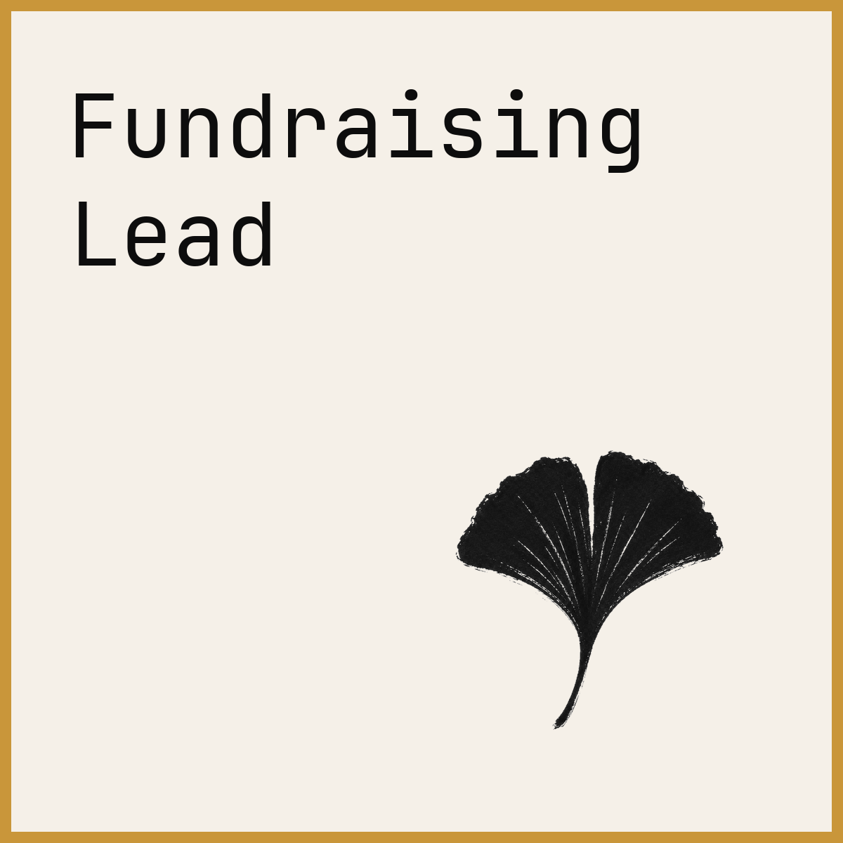 Fundraising Lead