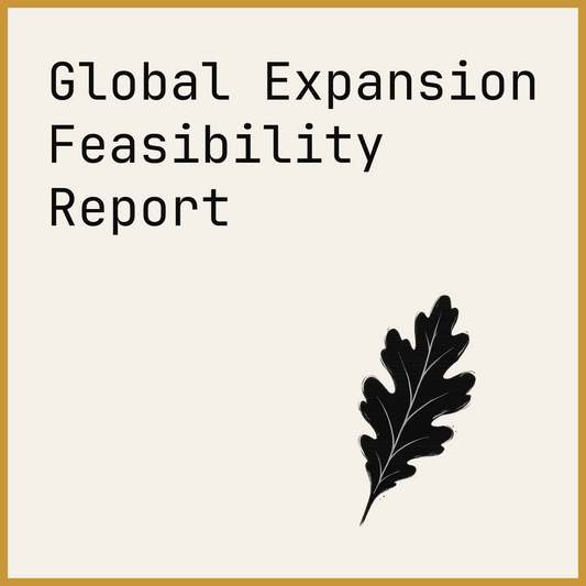 Global Expansion Feasibility Report
