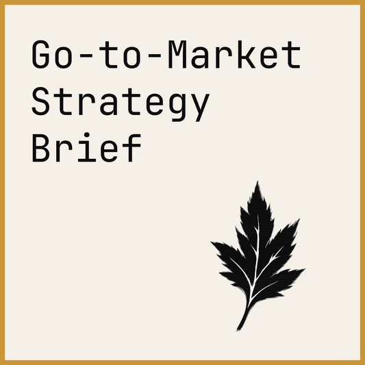 Go-to-Market Strategy Brief