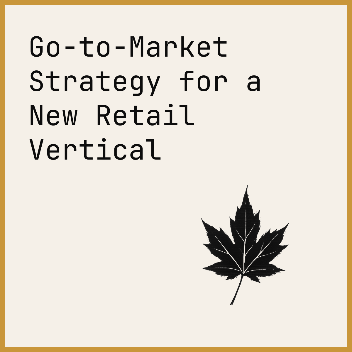 Go-to-Market Strategy for a New Retail Vertical