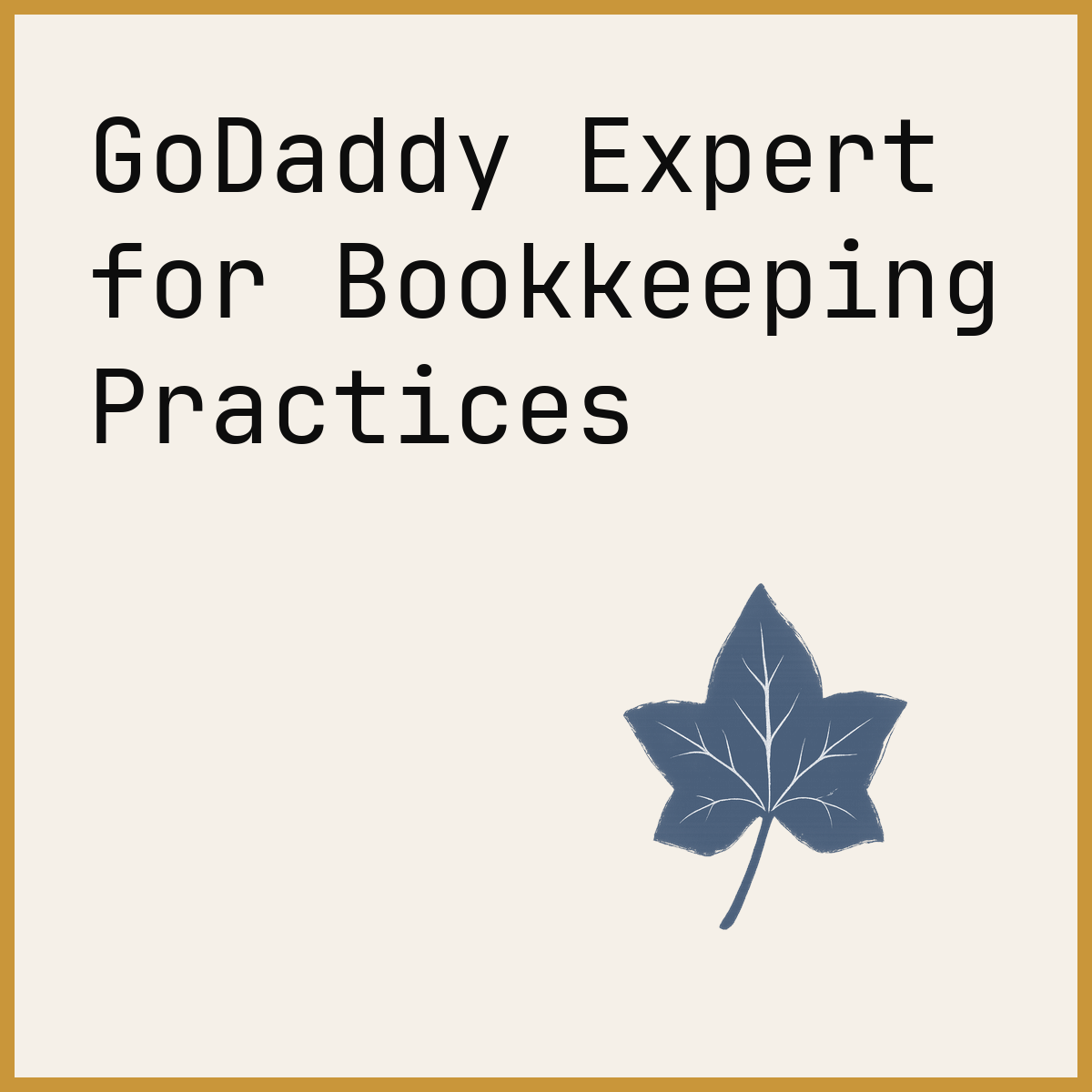 GoDaddy Expert for Bookkeeping Practices