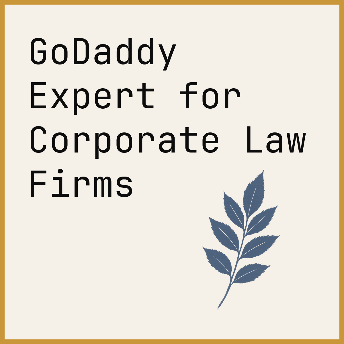GoDaddy Expert for Corporate Law Firms