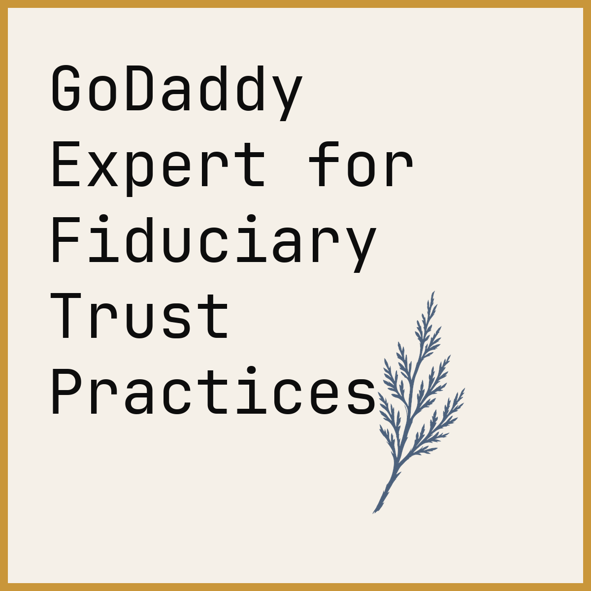 GoDaddy Expert for Fiduciary Trust Practices