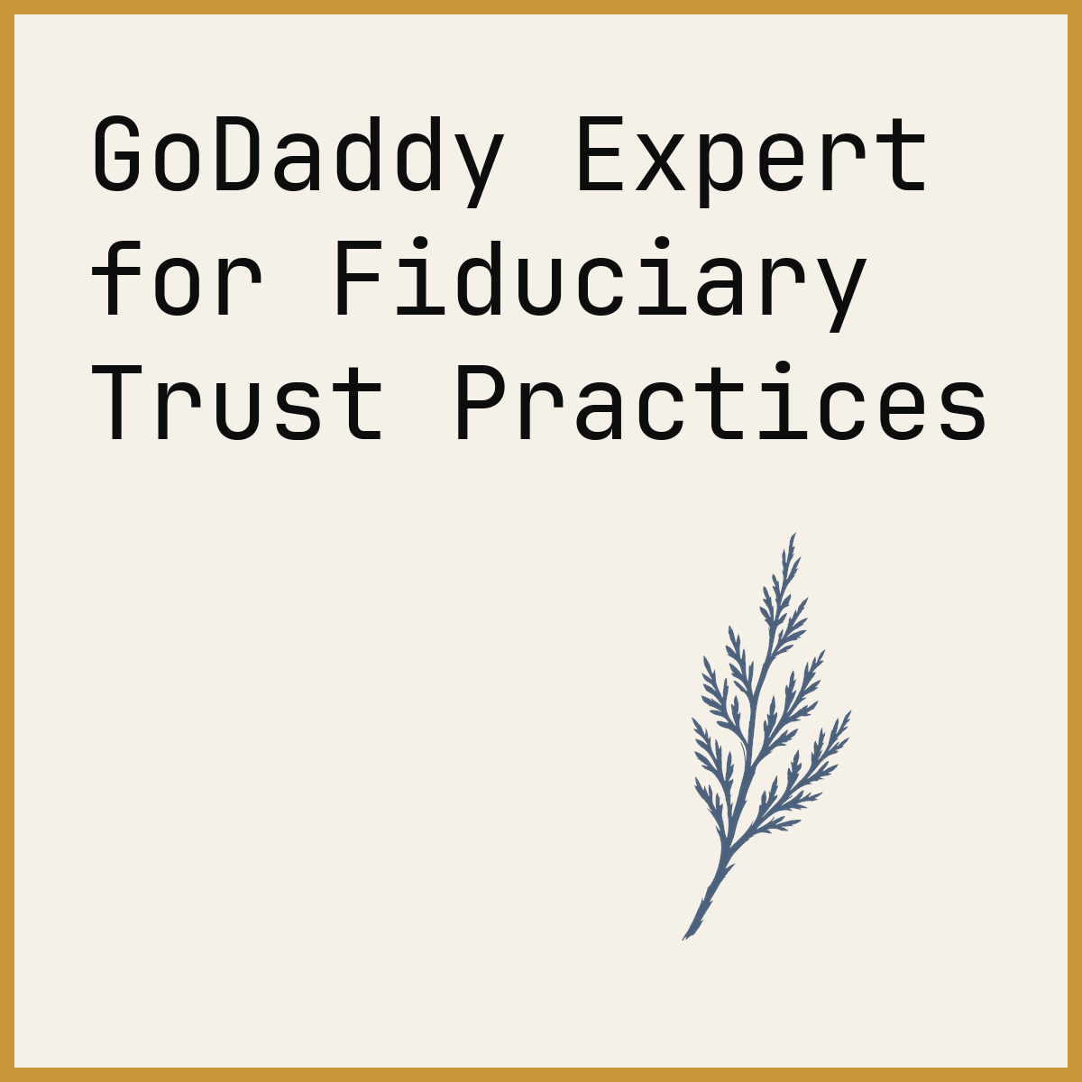 GoDaddy Expert for Fiduciary Trust Practices