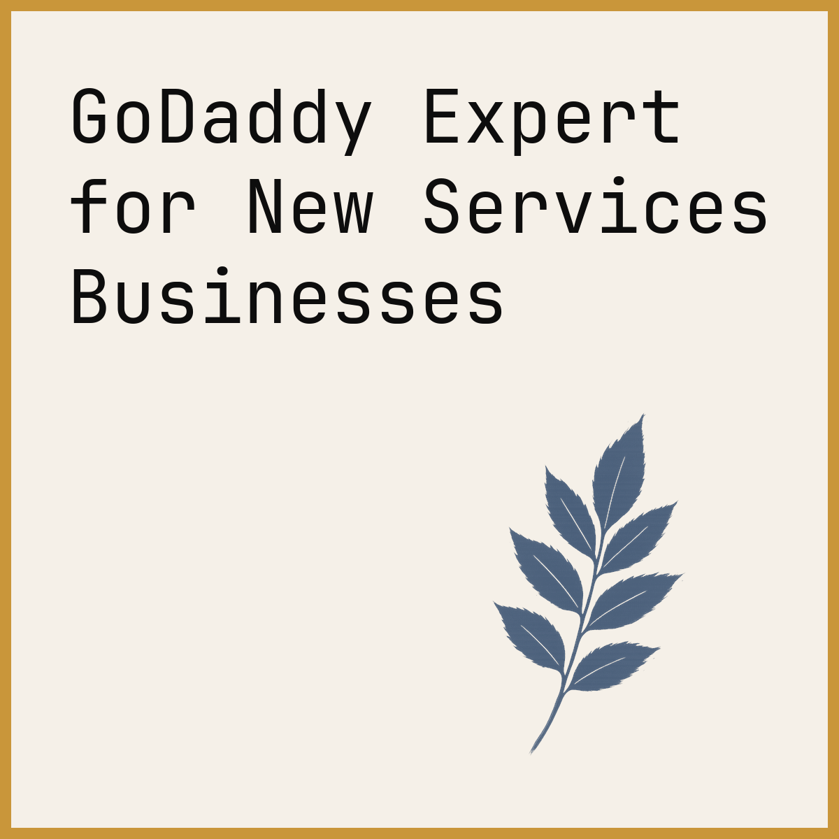 GoDaddy Expert for New Services Businesses