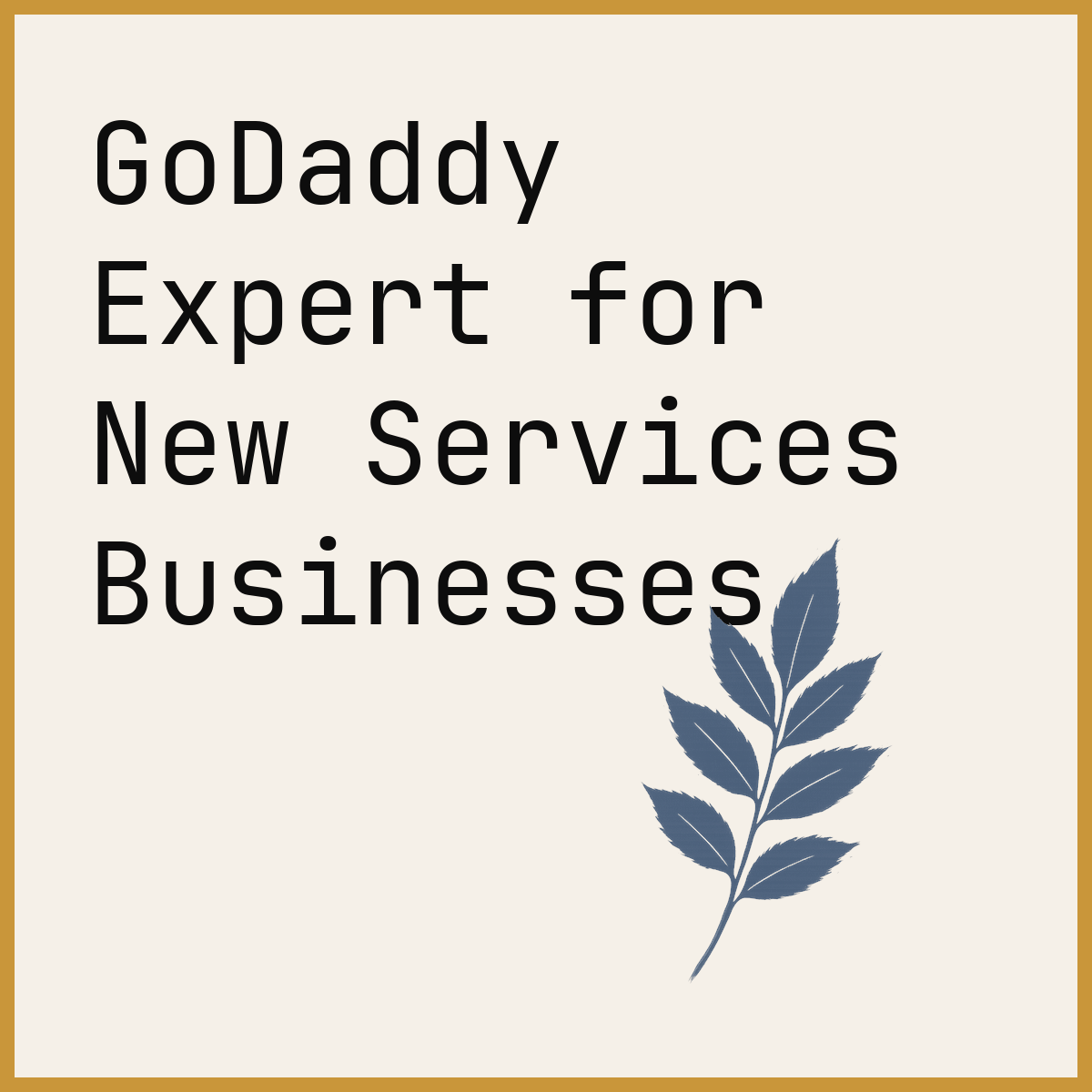 GoDaddy Expert for New Services Businesses
