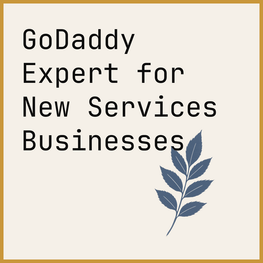 GoDaddy Expert for New Services Businesses