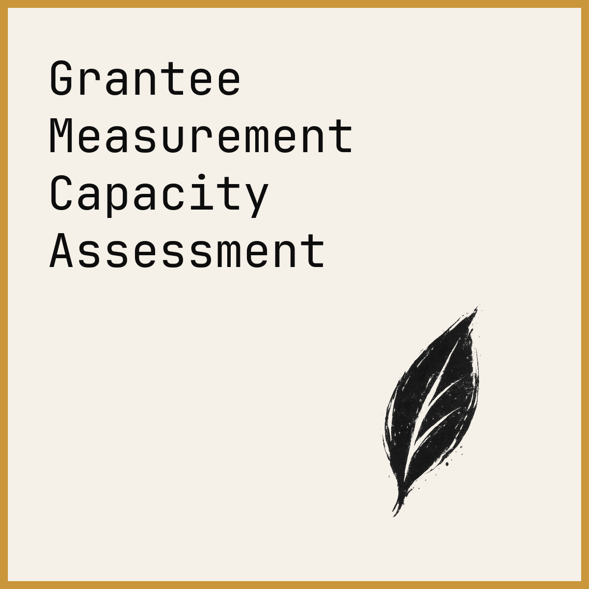 Grantee Measurement Capacity Assessment