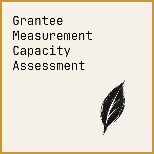 Grantee Measurement Capacity Assessment