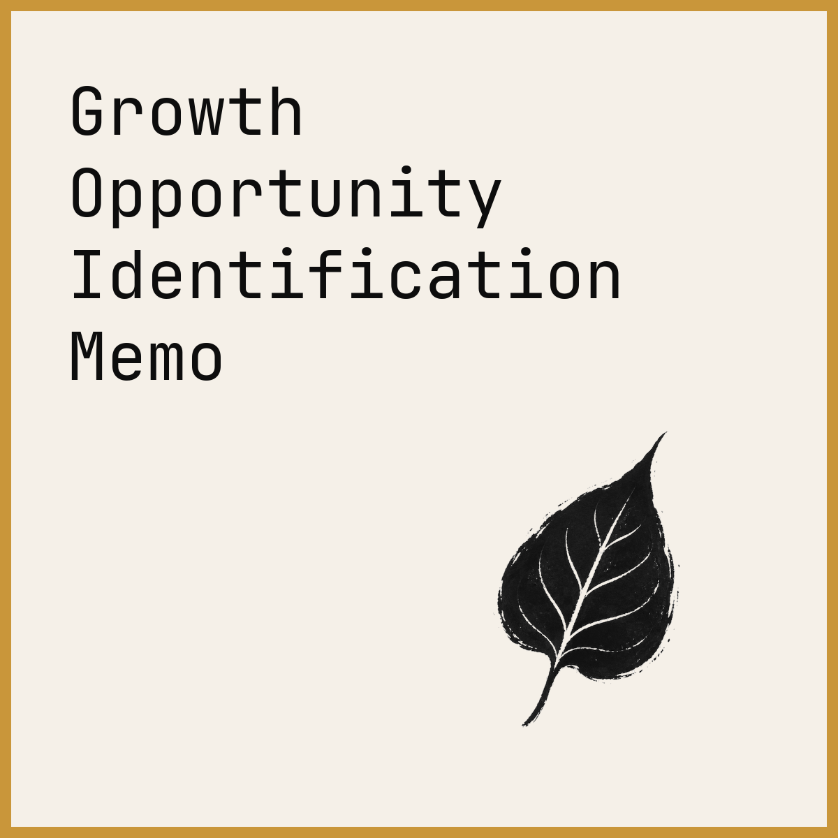 Growth Opportunity Identification Memo