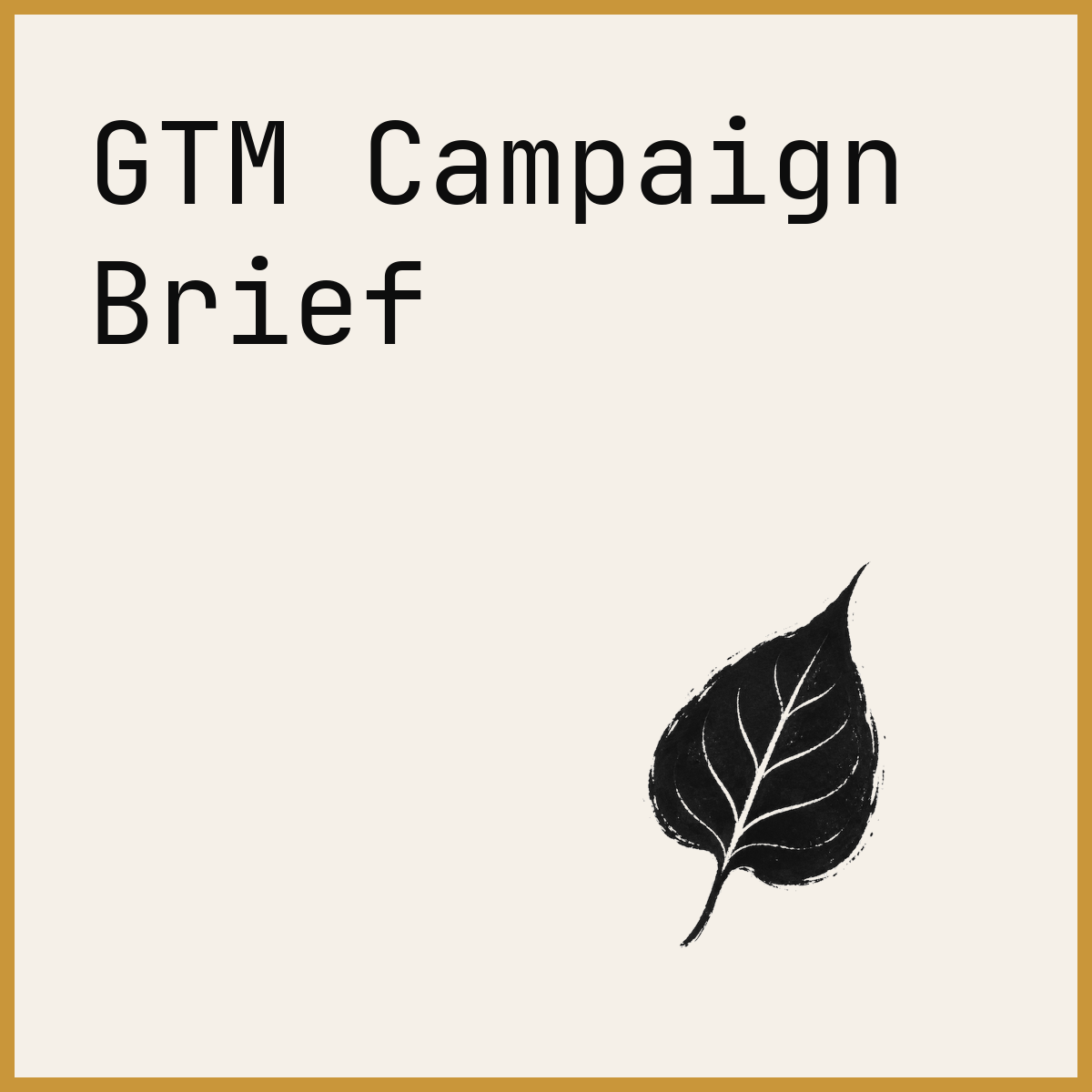 GTM Campaign Brief