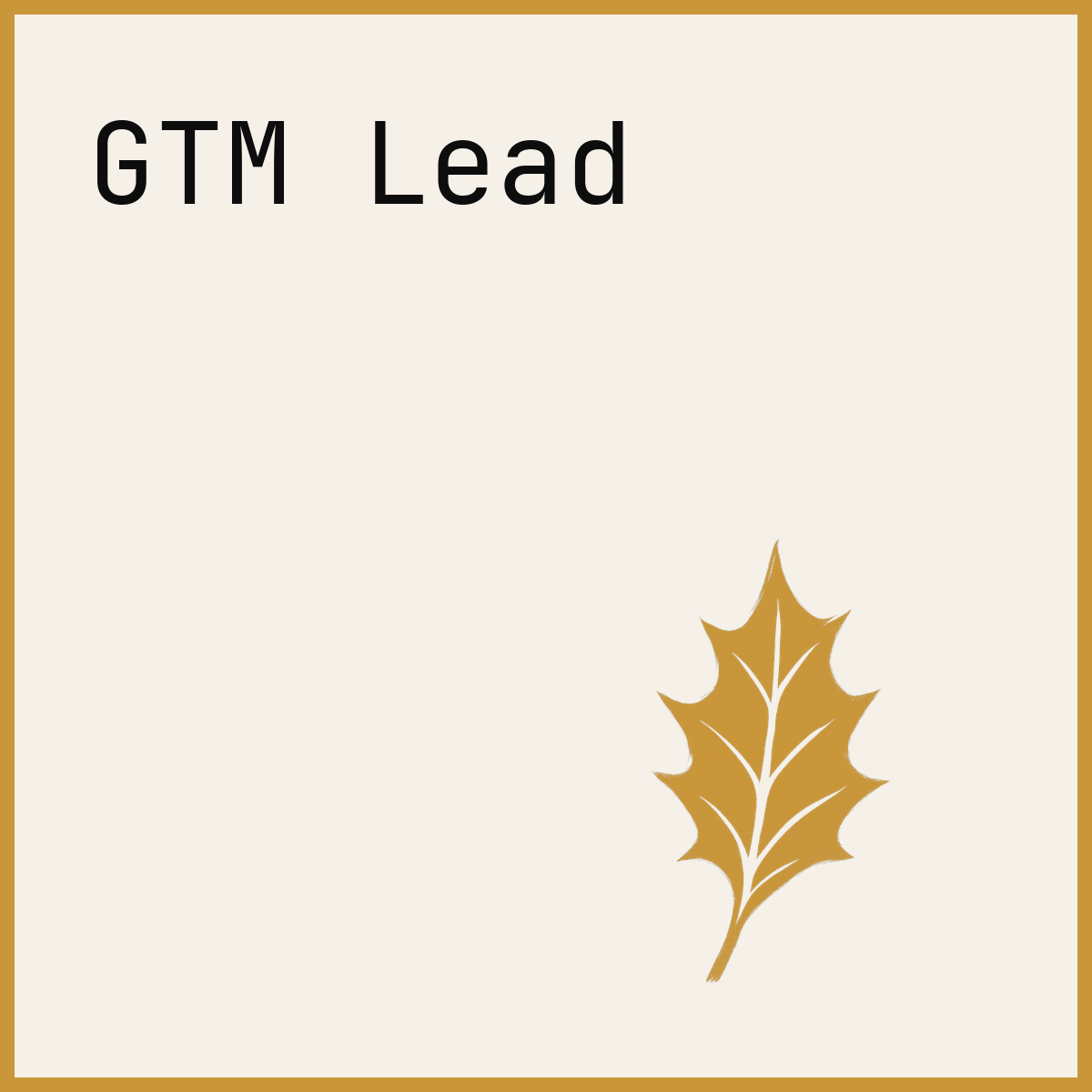 GTM Lead