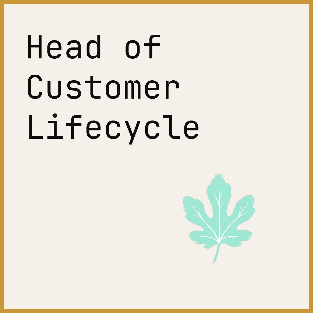 Head of Customer Lifecycle