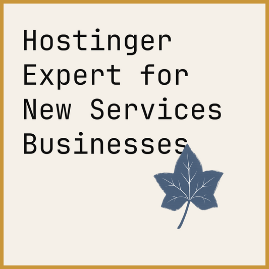 Hostinger Expert for New Services Businesses