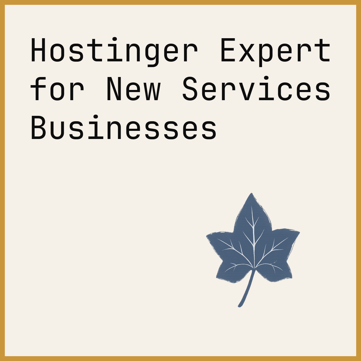 Hostinger Expert for New Services Businesses