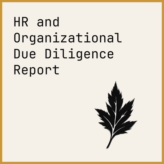 HR and Organizational Due Diligence Report
