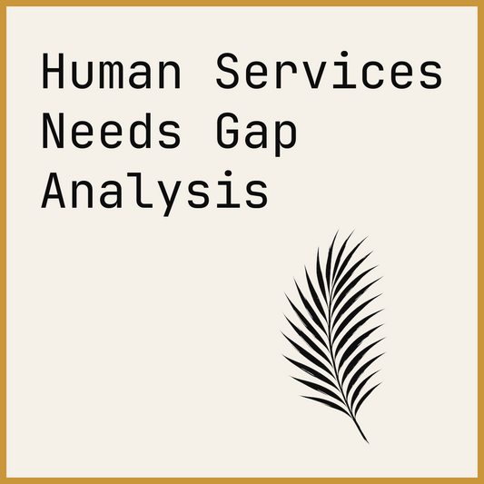 Human Services Needs Gap Analysis