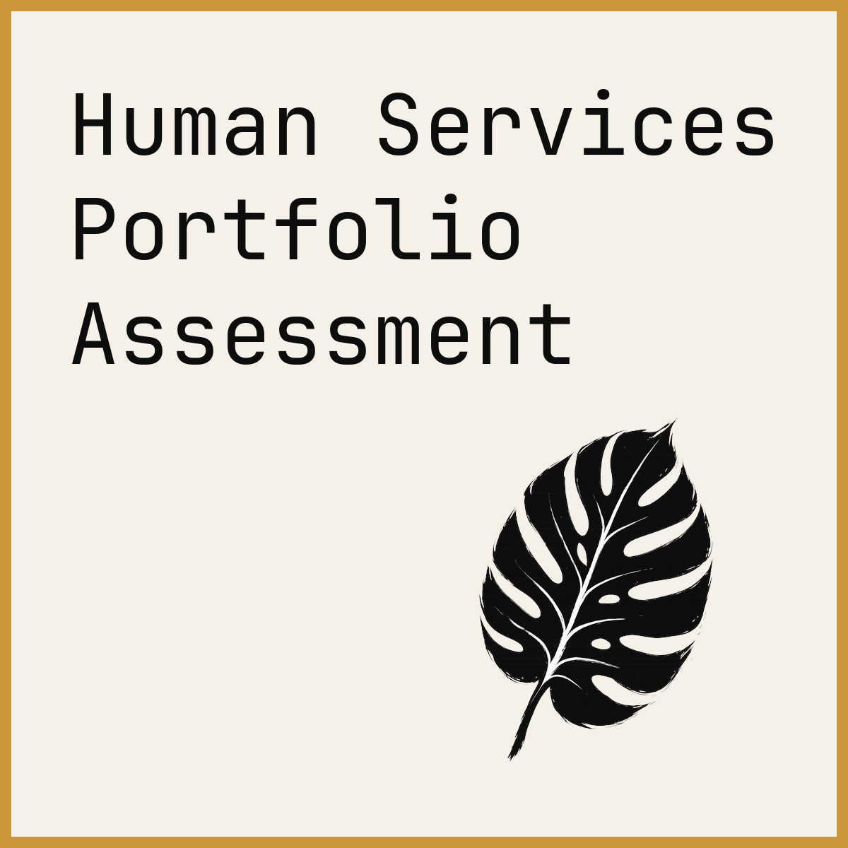 Human Services Portfolio Assessment