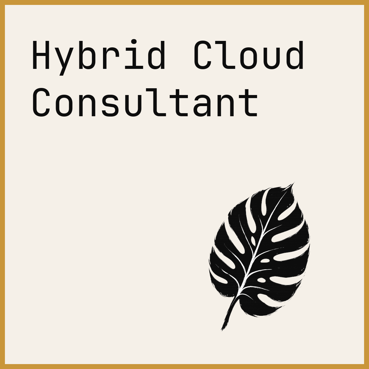 Hybrid Cloud Consultant