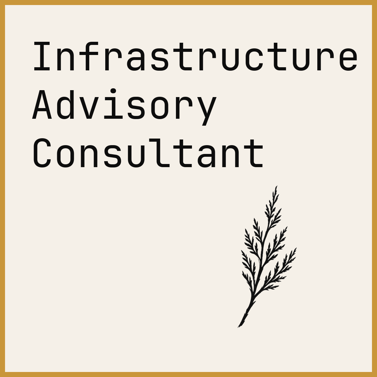 Infrastructure Advisory Consultant