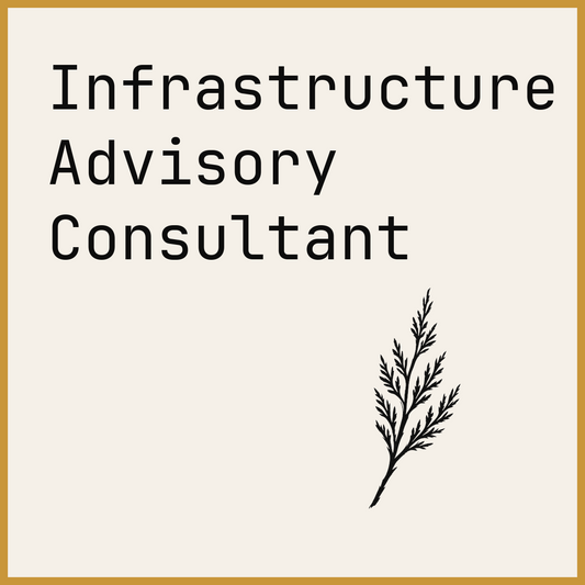 Infrastructure Advisory Consultant