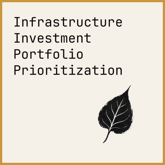 Infrastructure Investment Portfolio Prioritization